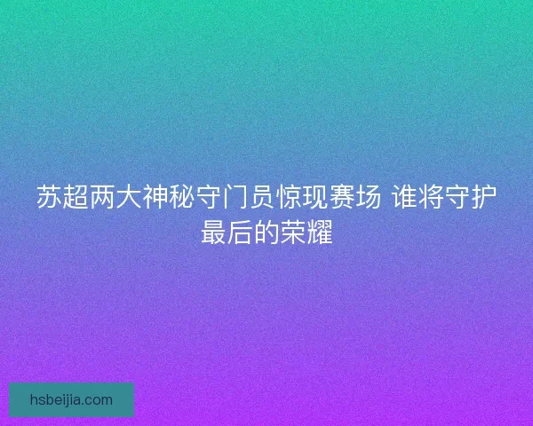 苏超两大神秘守门员惊现赛场 谁将守护最后的荣耀