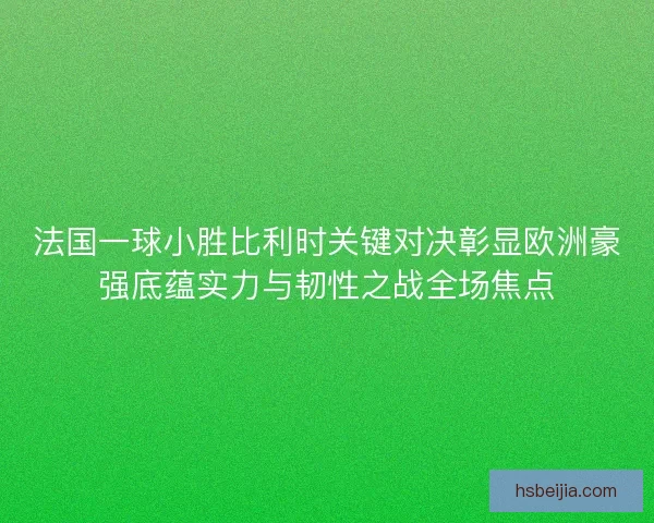 法国一球小胜比利时关键对决彰显欧洲豪强底蕴实力与韧性之战全场焦点