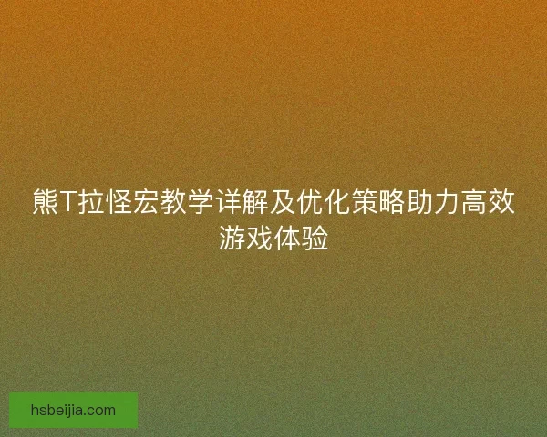 熊T拉怪宏教学详解及优化策略助力高效游戏体验